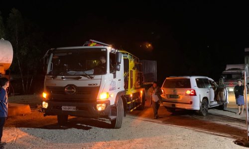 08.Peanichphum-activity